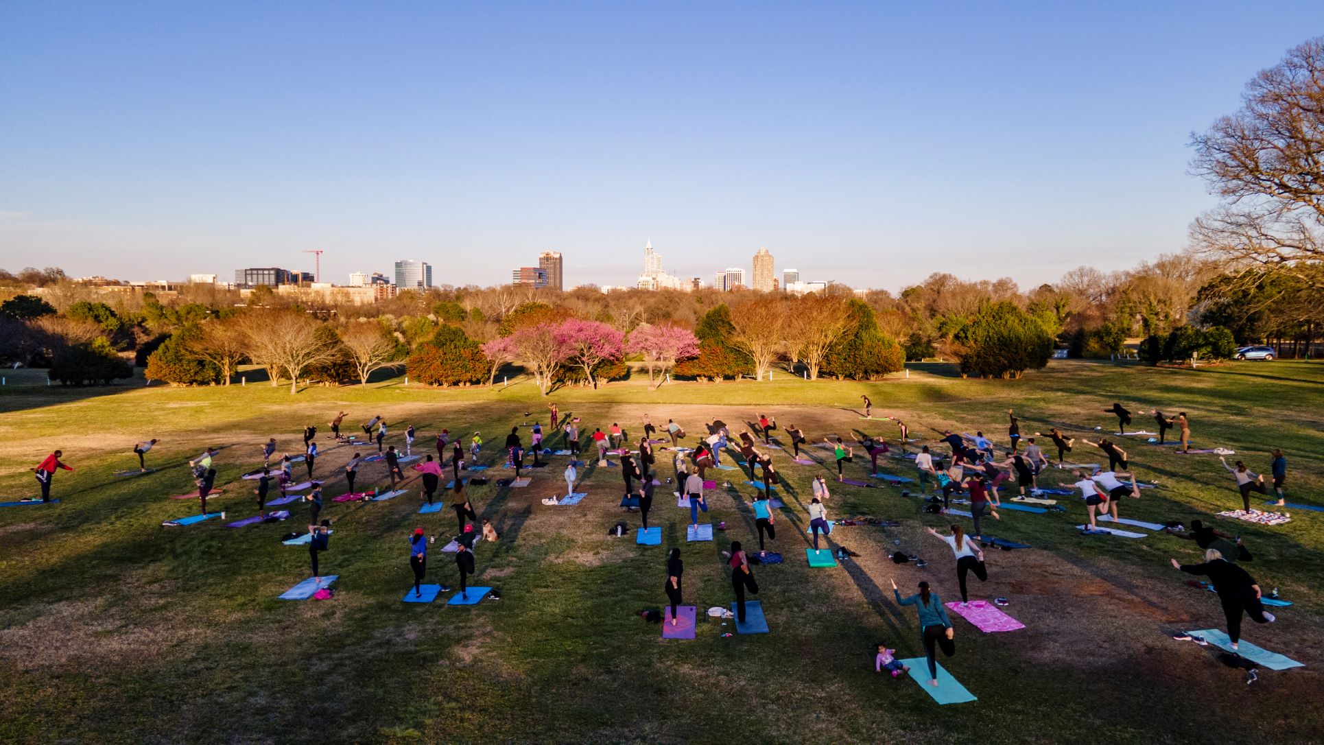 Yoga at Dix Park in Flowers Field