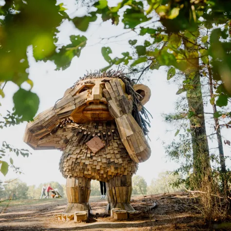 Dux | Trolls at Dix Park