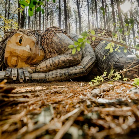 Mother Strong Tail | Trolls at Dix Park