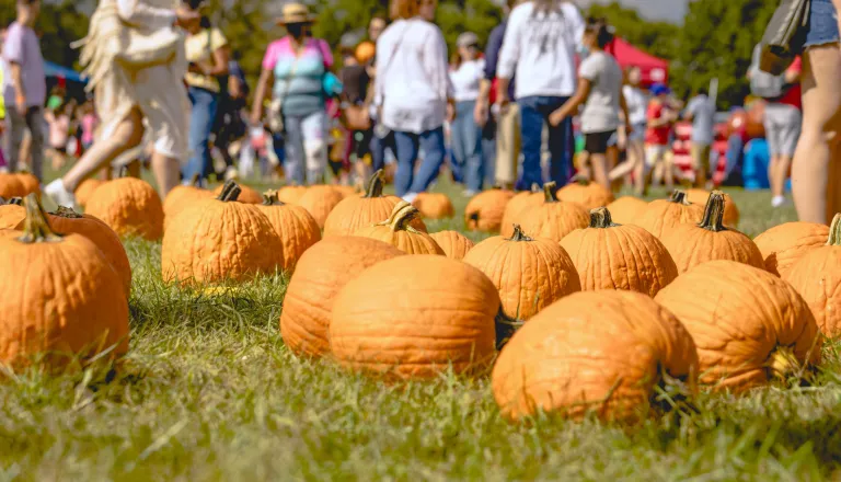 Falling for Local pumpkin patch in 2021