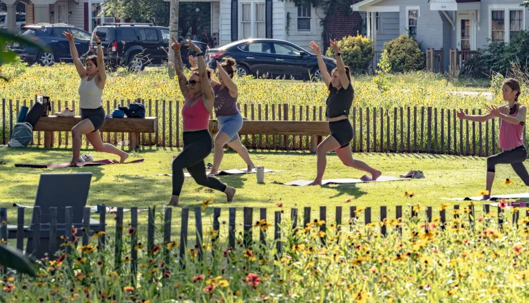 adults doing yoga on in the grass