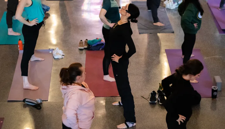 people in yoga positions