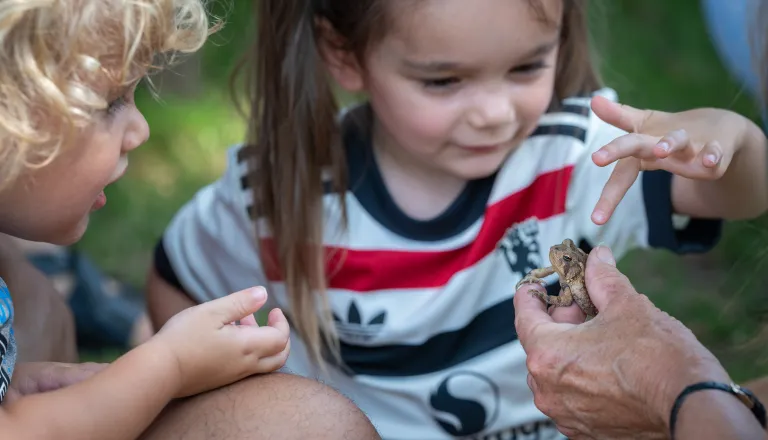 small kids touching a frog