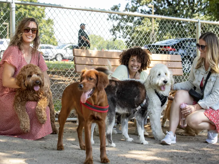 Group of women and dogs