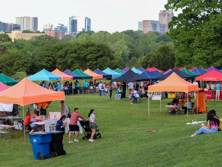 Tents on Flowers Field