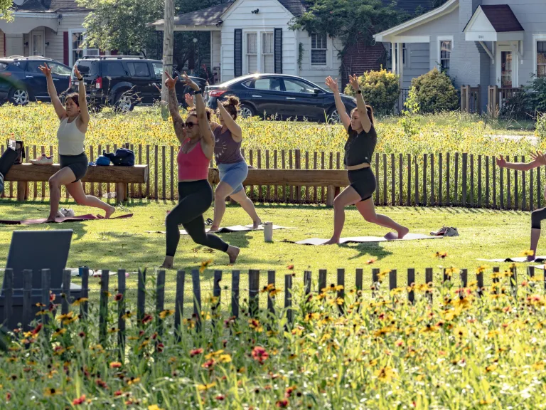 adults doing yoga on in the grass