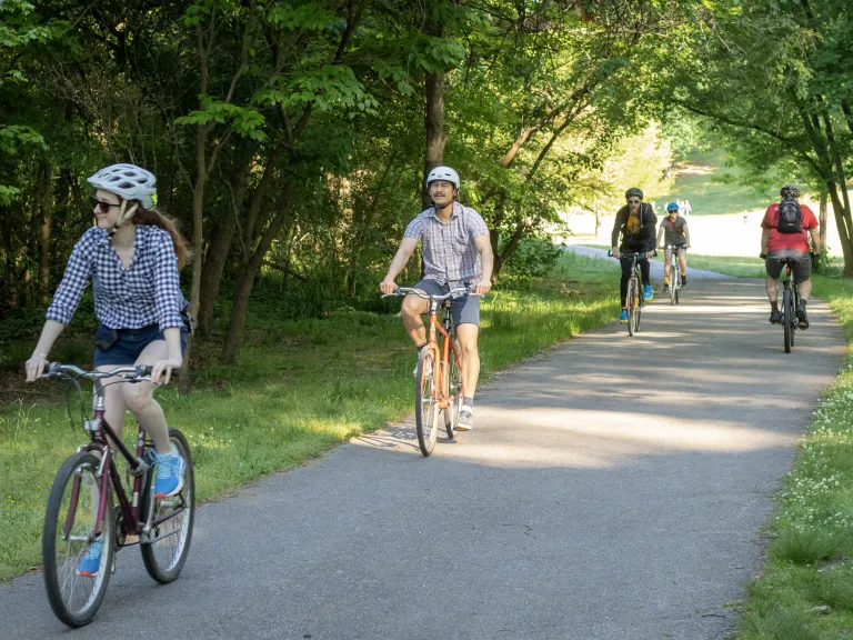people riding bikes