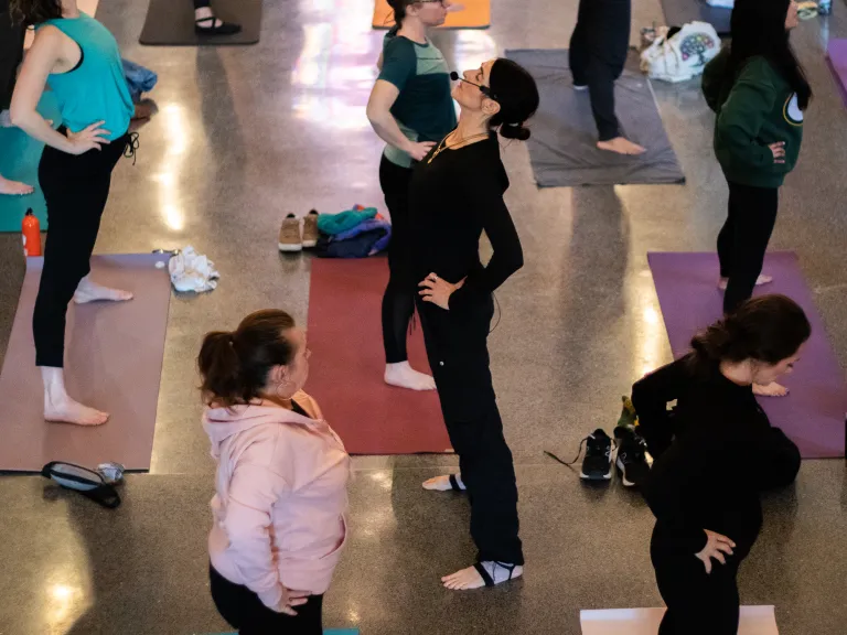 people in yoga positions