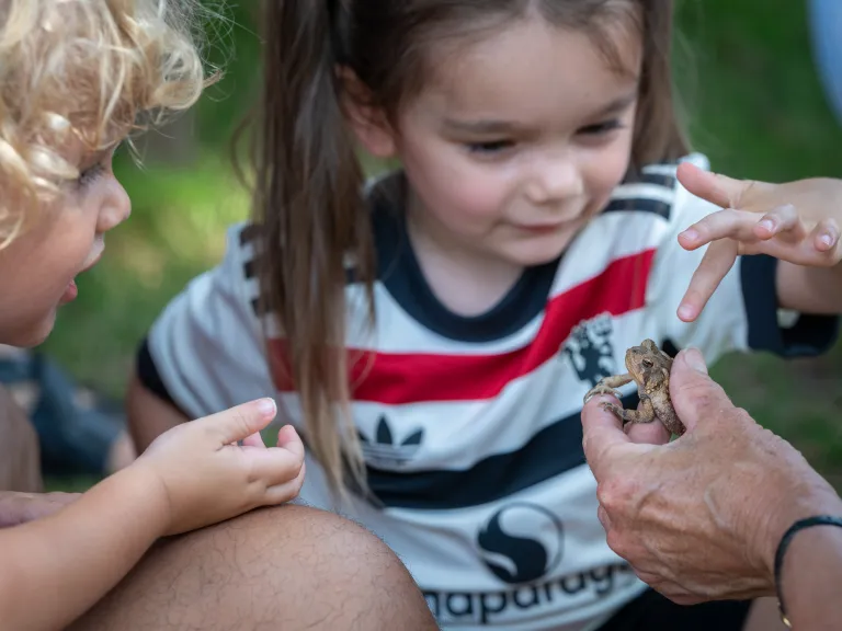 small kids touching a frog