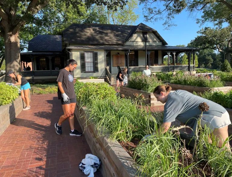 2025 Raleigh Parks Volunteers at Gipson Guardians