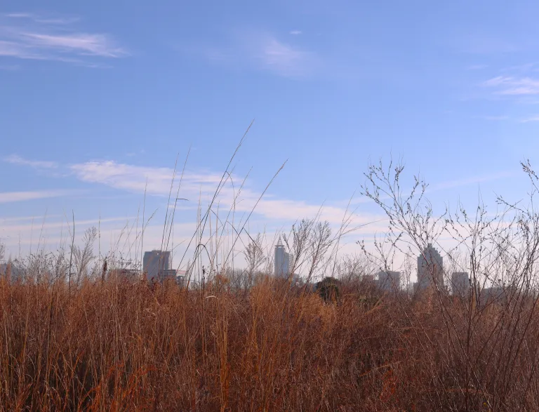 Preston Montague, Hearth is a Home: The Lamp