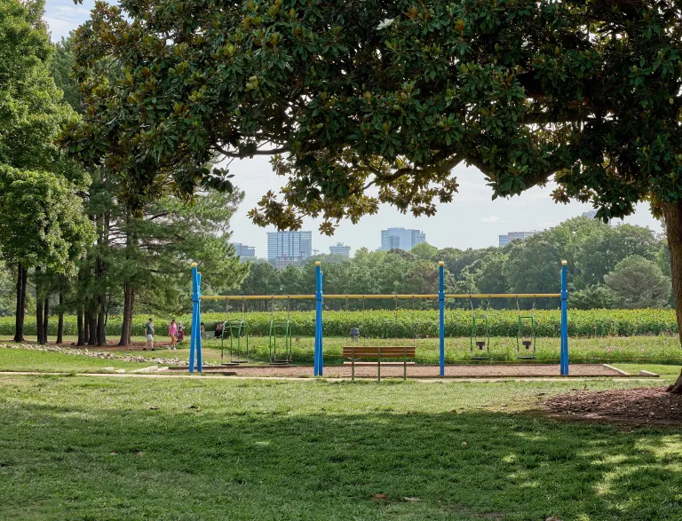 swings